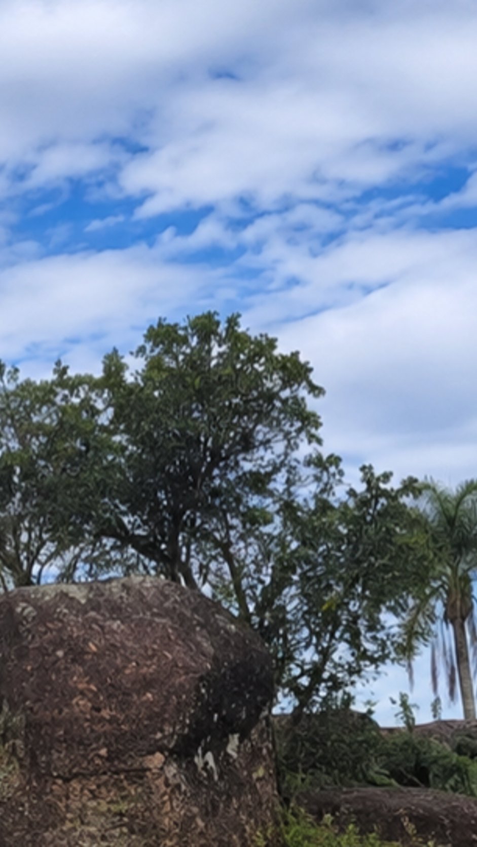 Parque Vila Velha, Ponta Grossa