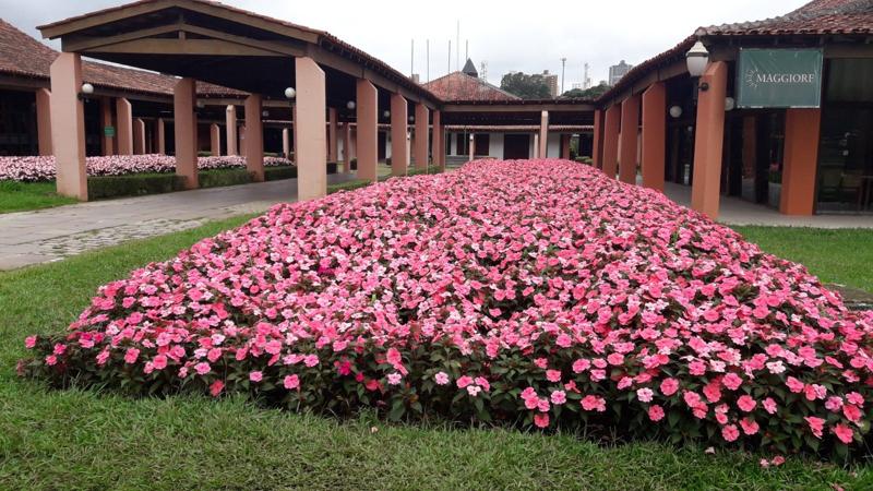 City Tour - Curitiba a Musa das Flores