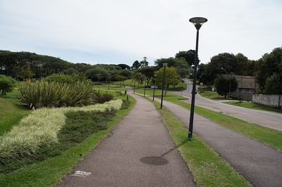 Pista de caminhada arborizada do Parque Barigui