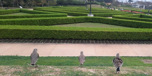 Jardim Botânico de Curitiba
