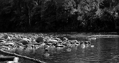 Rio Nhundiaquara em meio à Mata Atlântica, na Serra do Mar