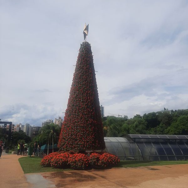 Árvore de Natal iluminada com fogos de artifício em Curitiba