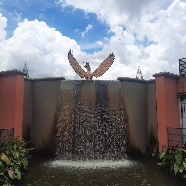 Mirante do Parque Tanguá